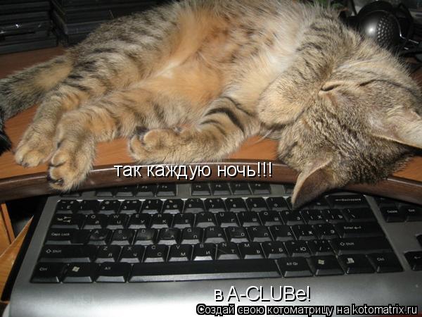 і так каждую ночь!!! в A-CLUBe!... Котоматрица: і так каждую ночь!!! в A-CLUBe!