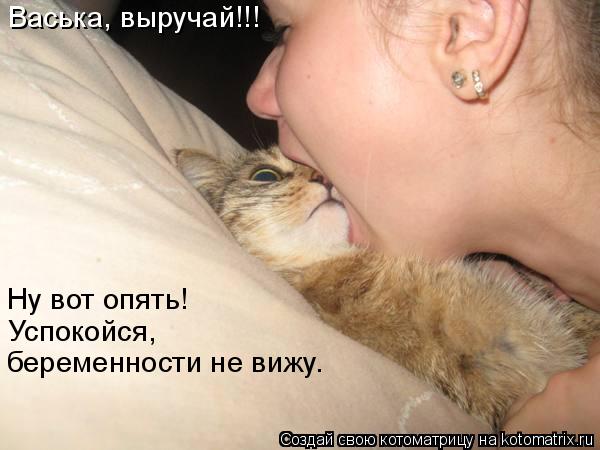 Котоматрица: Васька, выручай!!! Ну вот опять!  Успокойся,  беременности не вижу.