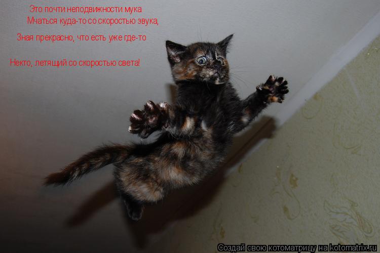 Котоматрица: Это почти неподвижности мука Мчаться куда-то со скоростью звука, Зная прекрасно Зная прекрасно, что есть уже где-то Некто, летящий со скорос