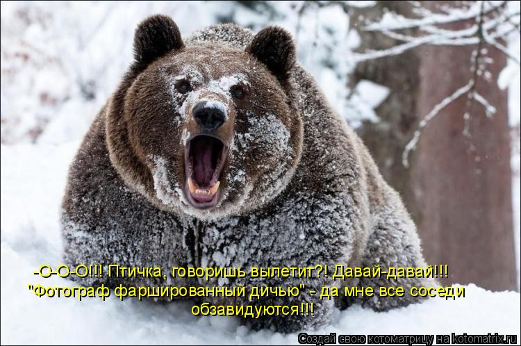 Котоматрица: -О-О-О!!! Птичка, говоришь вылетит?! Давай-давай!!!  "Фотограф фаршированный дичью" - да мне все соседи  обзавидуются!!!