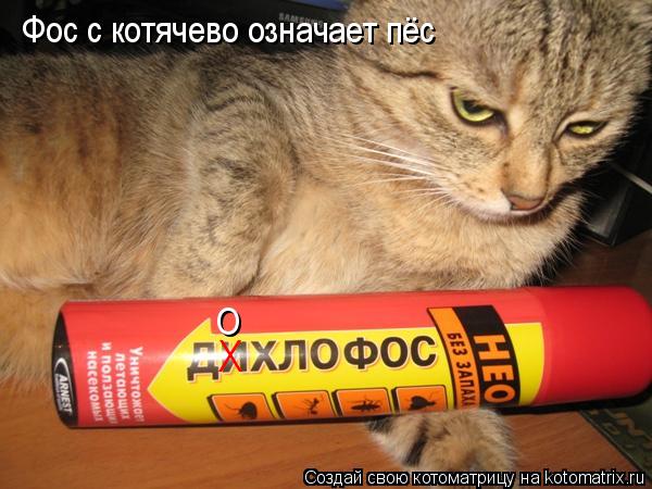Котоматрица: X О Фос с котячево означает пёс