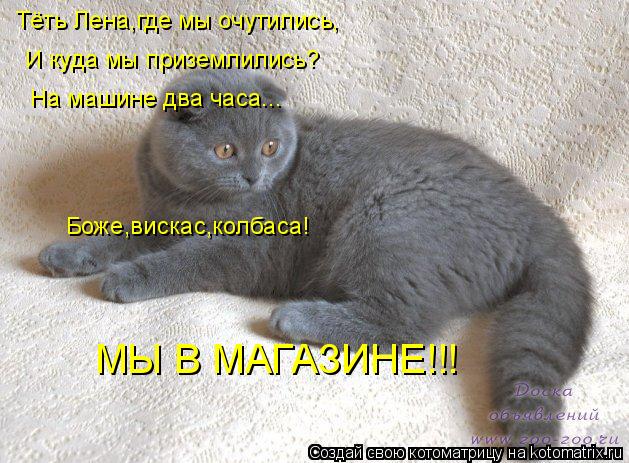 Котоматрица: Тёть Лена,где мы очутились, И куда мы приземлились? На машине два часа... Боже,вискас,колбаса! МЫ В МАГАЗИНЕ!!!