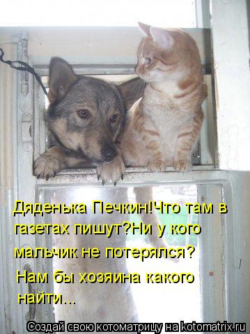 Котоматрица: Дяденька Печкин!Что там в  газетах пишут?Ни у кого мальчик не потерялся? Нам бы хозяина какого найти...