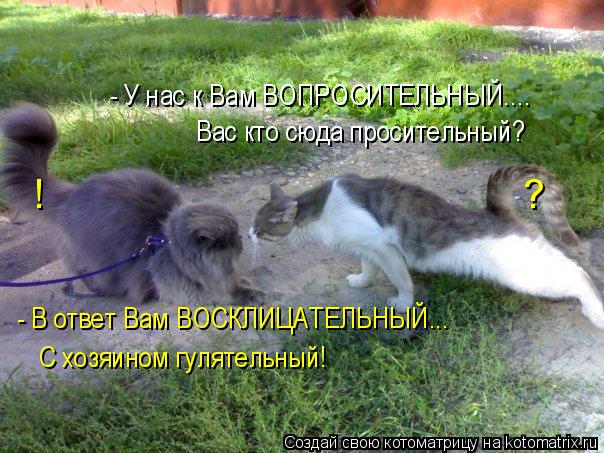 Котоматрица: - В ответ Вам ВОСКЛИЦАТЕЛЬНЫЙ...  С хозяином гулятельный! !                                           ? Вас кто сюда просительный? - У нас к Вам ВОПРО