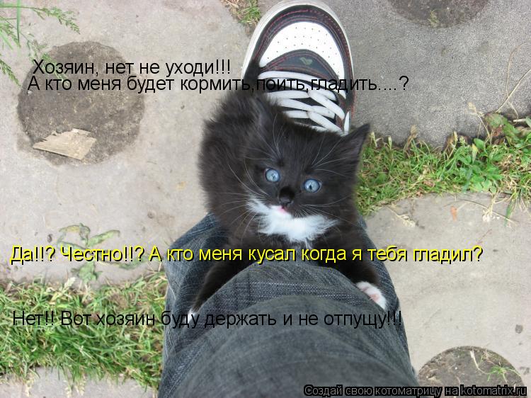 Котоматрица: Хозяин, нет не уходи!!! А кто меня будет кормить,поить,гладить....? Да!!? Честно!!? А кто меня кусал когда я тебя гладил? Нет!! Вот хозяин буду держа