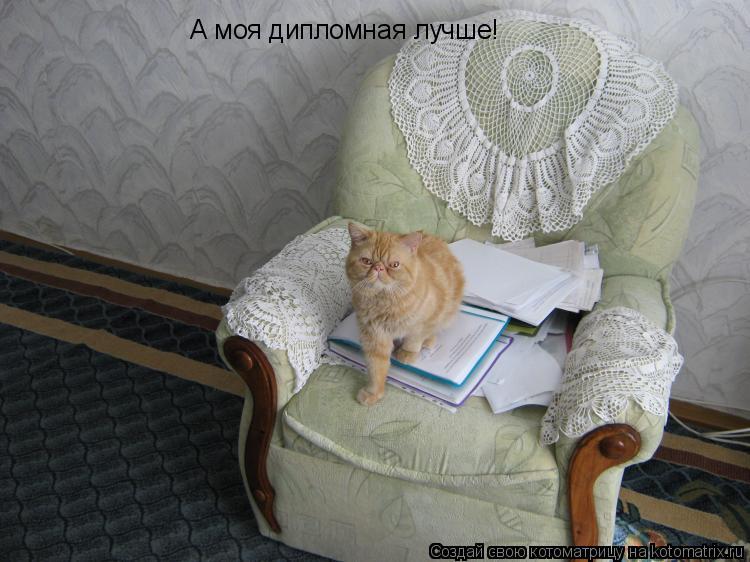 Котоматрица: А моя дипломная лучше!