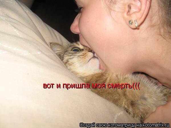 вот и пришла моя смерть((( вот и пришла моя смерть(((... Котоматрица: вот и пришла моя смерть((( вот и пришла моя смерть(((