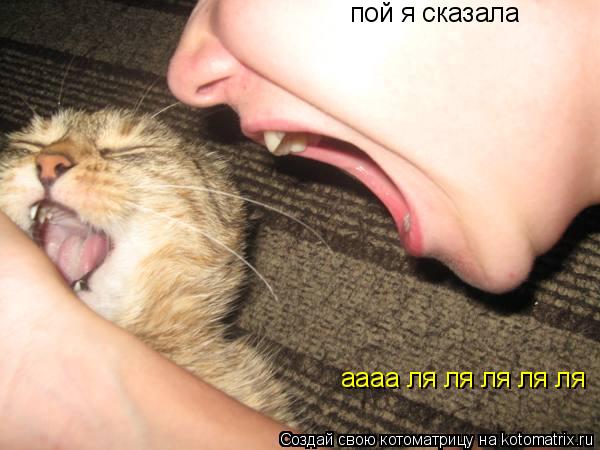 Котоматрица: пой я сказала аааа ля ля ля ля ля