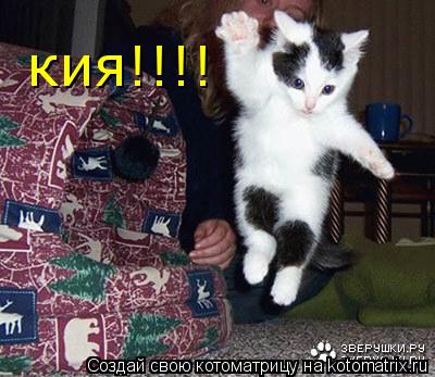 Котоматрица: кия!!!!