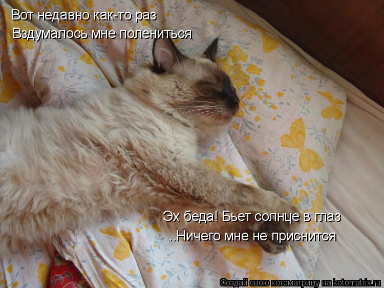 Котоматрица: Вот недавно как-то раз Эх беда! Бьет солнце в глаз Вздумалось мне полениться ..Ничего мне не приснится