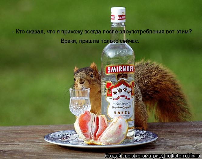 Котоматрица: - Кто сказал, что я прихожу всегда после злоупотребления вот этим? Враки, пришла только сейчас.