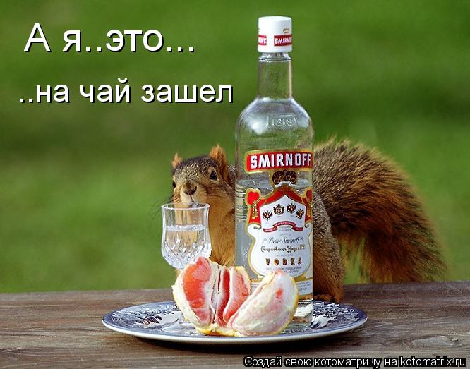 А я..это... ..на чай зашел... Котоматрица: А я..это... ..на чай зашел