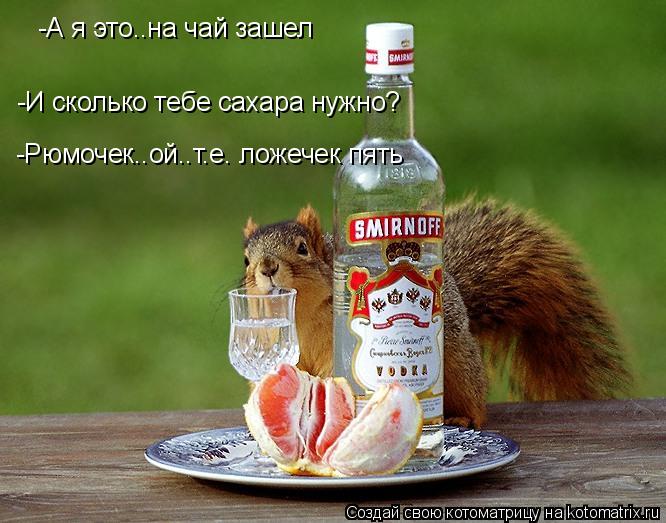 Котоматрица: -А я это..на чай зашел -И сколько тебе сахара нужно? -Рюмочек..ой..т.е. ложечек пять