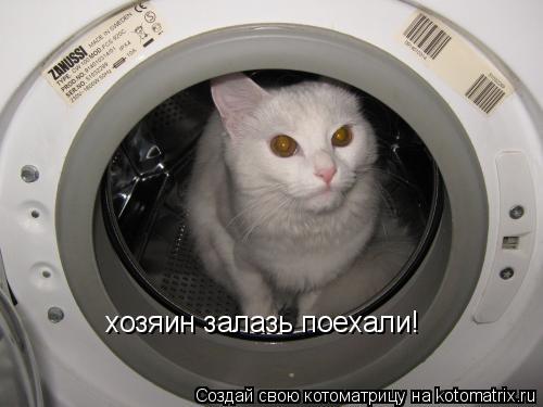 Котоматрица: хозяин залазь поехали!