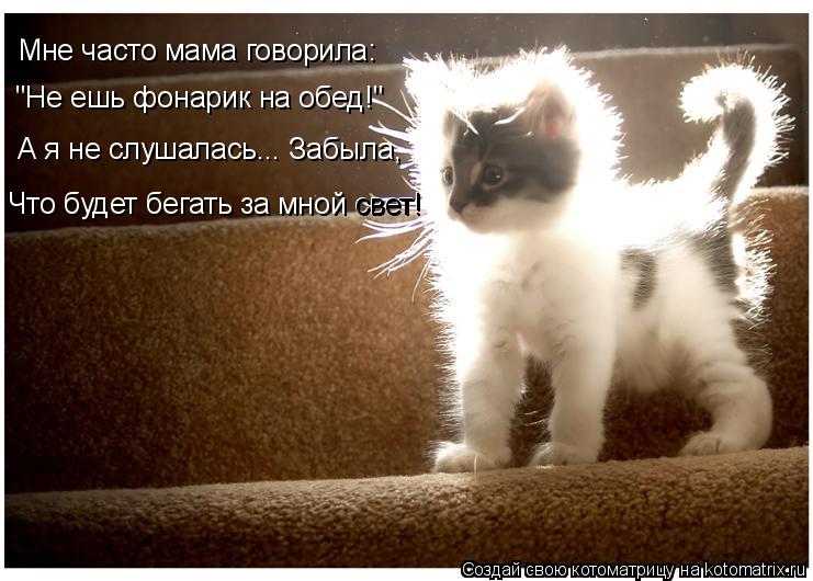 Мне часто мама говорила: "Не ешь фонарик на обед!" А я не слушалась... Забыла, Что будет бегать за мн... Котоматрица: Мне часто мама говорила: "Не ешь фонарик на обед!" А я не слушалась... Забыла, Что будет бегать за мной свет! свет!