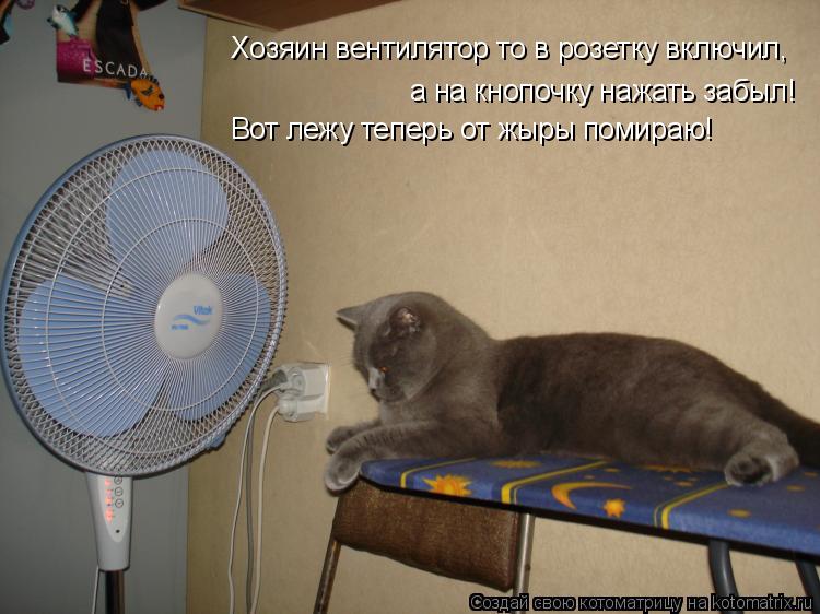 а на кнопочку нажать забыл! Вот лежу теперь от жыры помираю! Хозяин вентилятор то в розетку включил,... Котоматрица: а на кнопочку нажать забыл! Вот лежу теперь от жыры помираю! Хозяин вентилятор то в розетку включил,