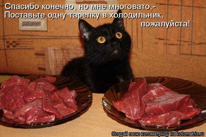 Спасибо конечно, но мне многовато,- Поставьте одну тарелку в холодильник, пожалуйста!... Котоматрица: Спасибо конечно, но мне многовато,- Поставьте одну тарелку в холодильник, пожалуйста!