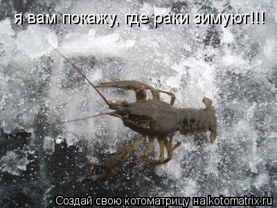 Котоматрица: я вам покажу, где раки зимуют!!!