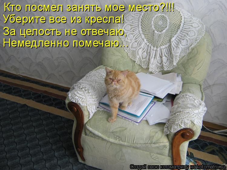 Кто посмел занять мое место?!!! Уберите все из кресла! За целость не отвечаю, Немедленно помечаю...... Котоматрица: Кто посмел занять мое место?!!! Уберите все из кресла! За целость не отвечаю, Немедленно помечаю...