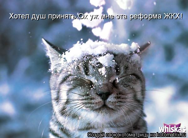 Хотел душ принять.Ох уж мне эта реформа ЖКХ!... Котоматрица: Хотел душ принять.Ох уж мне эта реформа ЖКХ!