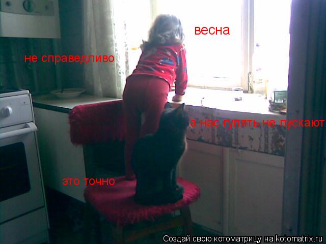 весна а нас гулять не пускают не справедливо это точно... Котоматрица: весна а нас гулять не пускают не справедливо это точно
