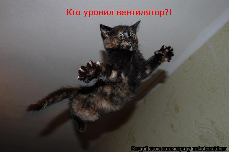 Котоматрица: Кто уронил вентилятор?!