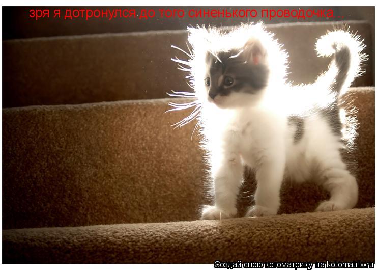 зря я дотронулся до того синенького проводочка...... Котоматрица: зря я дотронулся до того синенького проводочка...