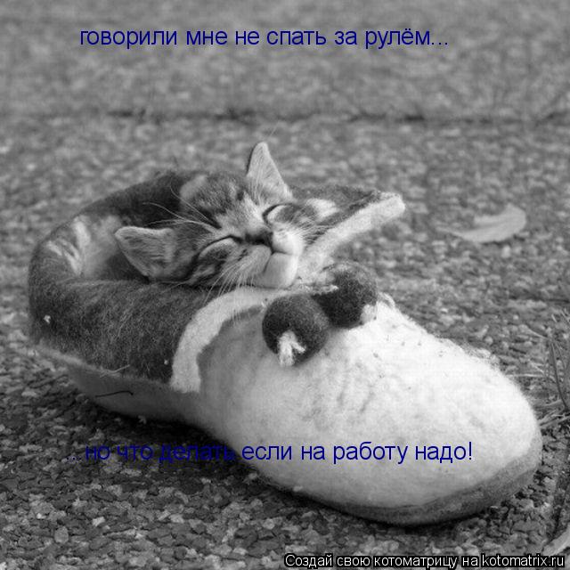 говорили мне не спать за рулём... ...но что делать если на работу надо!... Котоматрица: говорили мне не спать за рулём... ...но что делать если на работу надо!