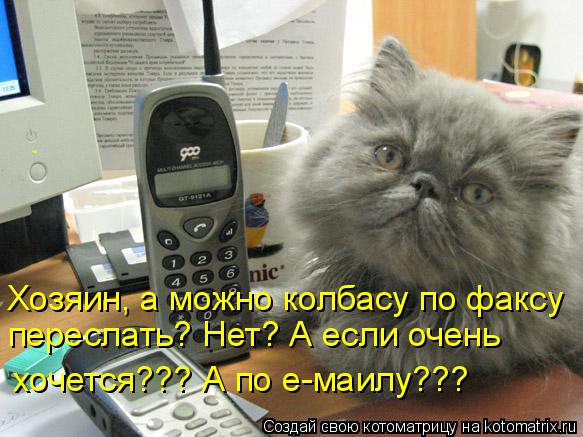 Хозяин, а можно колбасу по факсу переслать? Нет? А если очень хочется??? А по е-маилу???... Котоматрица: Хозяин, а можно колбасу по факсу переслать? Нет? А если очень хочется??? А по е-маилу???