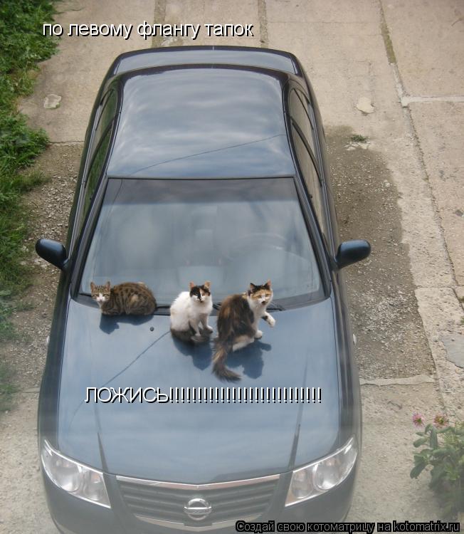 по левому флангу тапок ЛОЖИСЬ!!!!!!!!!!!!!!!!!!!!!!!!!!!... Котоматрица: по левому флангу тапок ЛОЖИСЬ!!!!!!!!!!!!!!!!!!!!!!!!!!!
