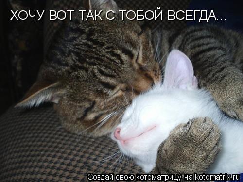 ХОЧУ ВОТ ТАК С ТОБОЙ ВСЕГДА...... Котоматрица: ХОЧУ ВОТ ТАК С ТОБОЙ ВСЕГДА...