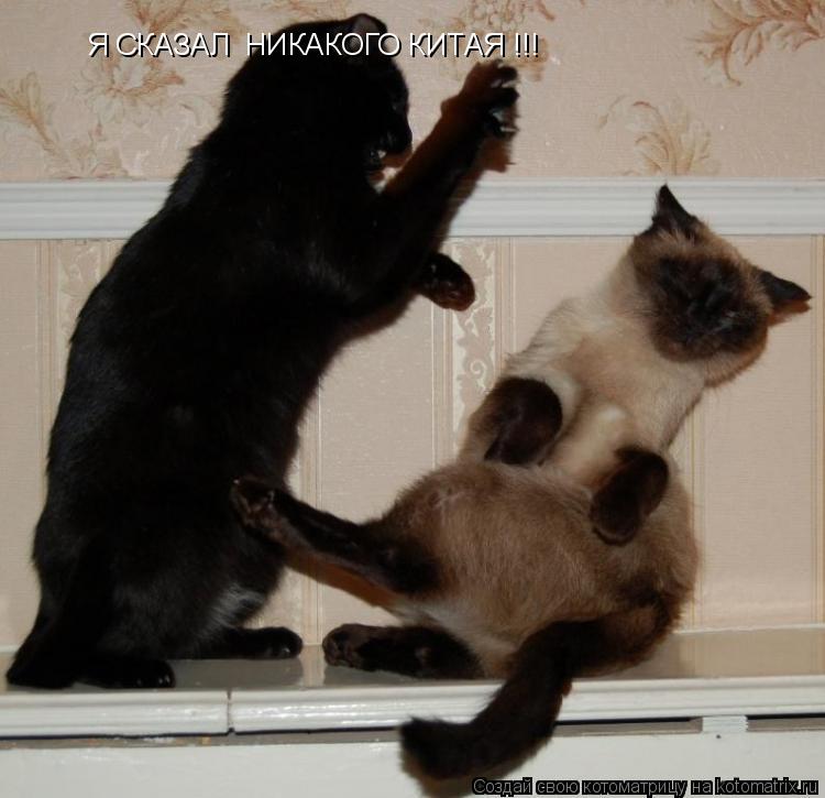 Я СКАЗАЛ НИКАКОГО КИТАЯ !!!... Котоматрица: Я СКАЗАЛ НИКАКОГО КИТАЯ !!!