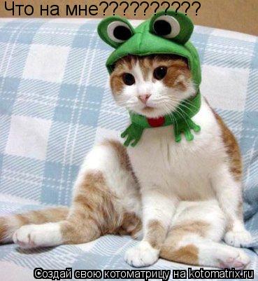 Что на мне??????????... Котоматрица: Что на мне??????????