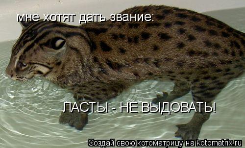 мне хотят дать звание: ЛАСТЫ - НЕ ВЫДОВАТЬ!... Котоматрица: мне хотят дать звание: ЛАСТЫ - НЕ ВЫДОВАТЬ!