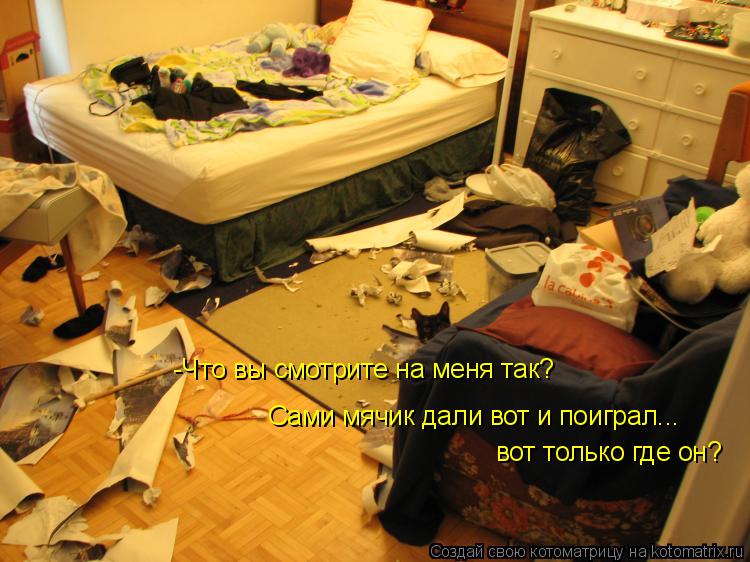 -Что вы смотрите на меня так? Сами мячик дали вот и поиграл... вот только где он?... Котоматрица: -Что вы смотрите на меня так? Сами мячик дали вот и поиграл... вот только где он?