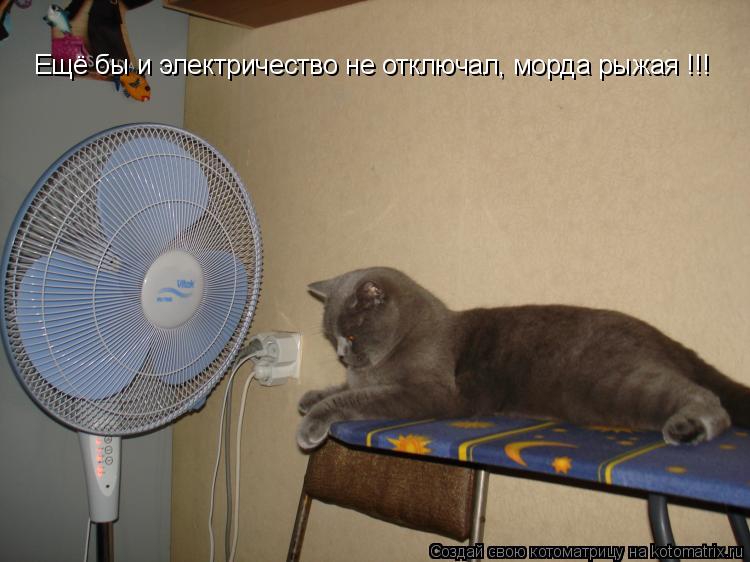 Ещё бы и электричество не отключал, морда рыжая !!!... Котоматрица: Ещё бы и электричество не отключал, морда рыжая !!!