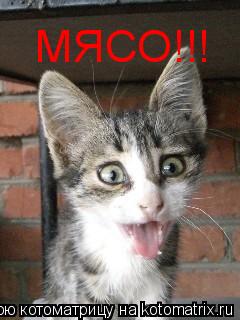 МЯСО!!!... Котоматрица: МЯСО!!!