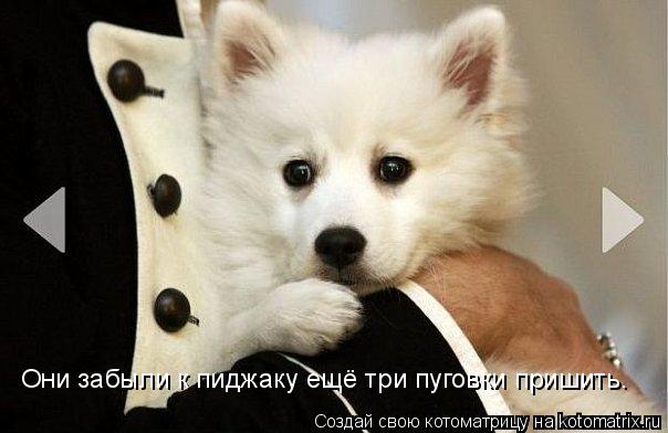 Они забыли к пиджаку ещё три пуговки пришить.... Котоматрица: Они забыли к пиджаку ещё три пуговки пришить.