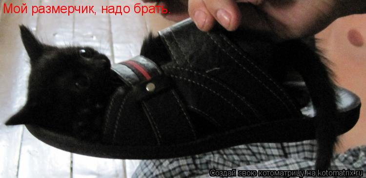 Мой размерчик, надо брать.... Котоматрица: Мой размерчик, надо брать.