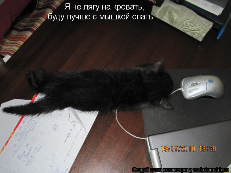 Я не лягу на кровать, буду лучше с мышкой спать.... Котоматрица: Я не лягу на кровать, буду лучше с мышкой спать.