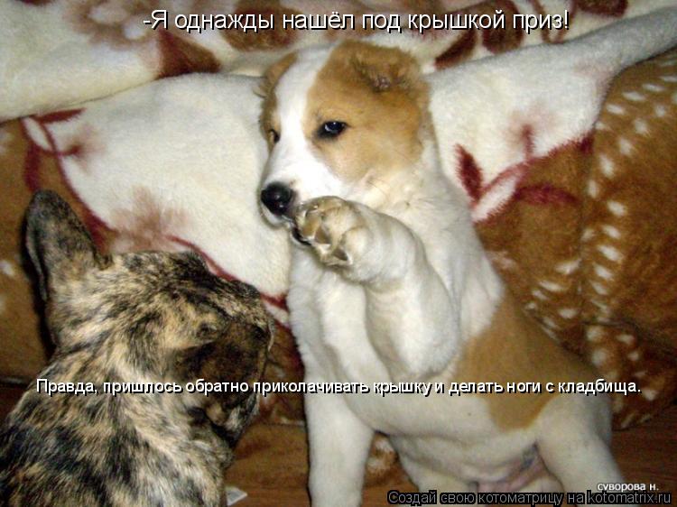 -Я однажды нашёл под крышкой приз! Правда, пришлось обратно приколачивать крышку и делать ноги с клад... Котоматрица: -Я однажды нашёл под крышкой приз! Правда, пришлось обратно приколачивать крышку и делать ноги с кладбища.
