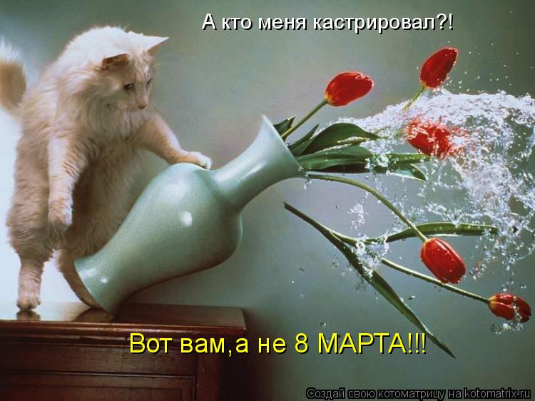 А кто меня кастрировал?! Вот вам,а не 8 МАРТА!!!... Котоматрица: А кто меня кастрировал?! Вот вам,а не 8 МАРТА!!!