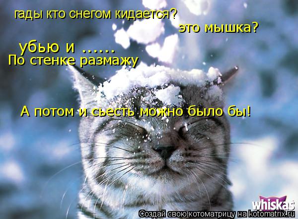 гады кто снегом кидается? это мышка? убью и ...... По стенке размажу А потом и сьесть можно было бы!... Котоматрица: гады кто снегом кидается? это мышка? убью и ...... По стенке размажу А потом и сьесть можно было бы!