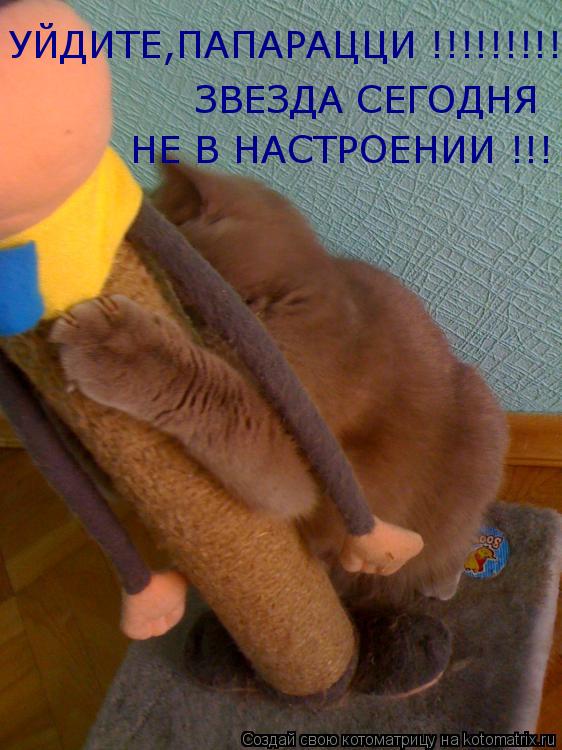 УЙДИТЕ,ПАПАРАЦЦИ !!!!!!!!!! ЗВЕЗДА СЕГОДНЯ НЕ В НАСТРОЕНИИ !!!... Котоматрица: УЙДИТЕ,ПАПАРАЦЦИ !!!!!!!!!! ЗВЕЗДА СЕГОДНЯ НЕ В НАСТРОЕНИИ !!!