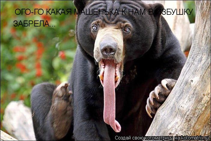 ОГО-ГО КАКАЯ МАШЕНЬКА К НАМ В ИЗБУШКУ ЗАБРЕЛА...... Котоматрица: ОГО-ГО КАКАЯ МАШЕНЬКА К НАМ В ИЗБУШКУ ЗАБРЕЛА...
