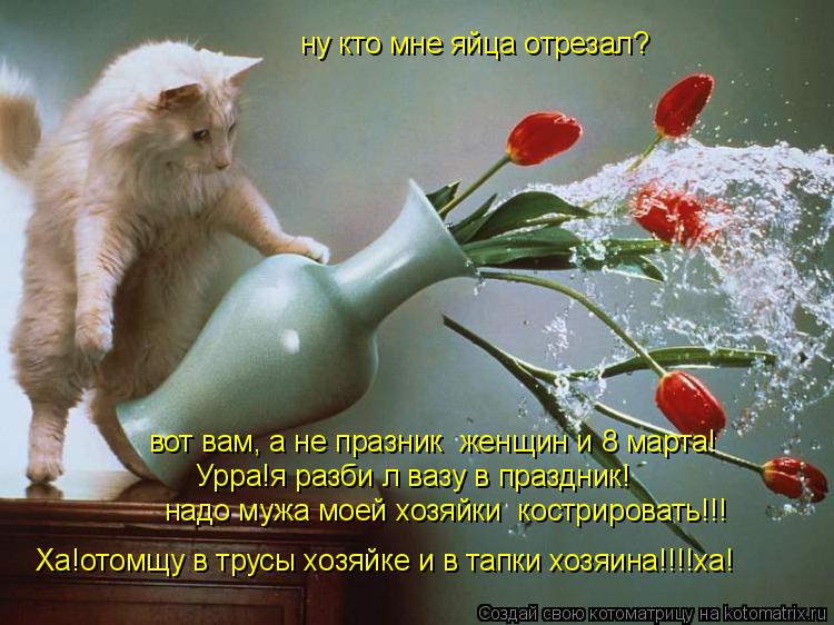 ну кто мне яйца отрезал? вот вам, а не празник женщин и 8 марта! Урра!я разби л вазу в праздник! над... Котоматрица: ну кто мне яйца отрезал? вот вам, а не празник женщин и 8 марта! Урра!я разби л вазу в праздник! надо мужа моей хозяйки кострировать!!! Ха!отомщ