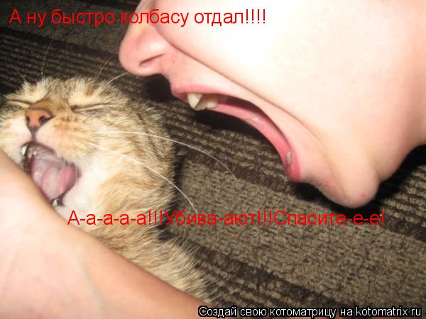 А ну быстро колбасу отдал!!!! А-а-а-а-а!!!Убива-ают!!!Спасите-е-е!... Котоматрица: А ну быстро колбасу отдал!!!! А-а-а-а-а!!!Убива-ают!!!Спасите-е-е!