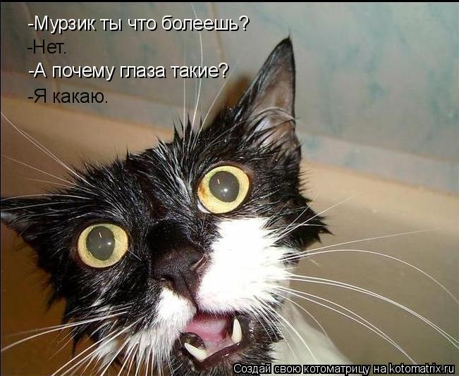 -Мурзик ты что болеешь? -А почему глаза такие? -Нет. -Я какаю.... Котоматрица: -Мурзик ты что болеешь? -А почему глаза такие? -Нет. -Я какаю.