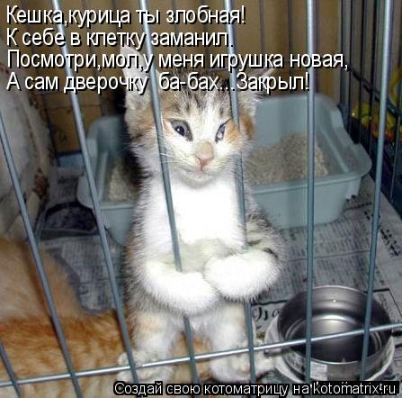 Посмотри,мол,у меня игрушка новая, Кешка,курица ты злобная! К себе в клетку заманил. А сам дверочку ... Котоматрица: Посмотри,мол,у меня игрушка новая, Кешка,курица ты злобная! К себе в клетку заманил. А сам дверочку ба-бах...Закрыл!