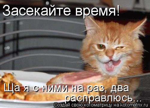 Засекайте время! Ща я с ними на раз, два расправлюсь...... Котоматрица: Засекайте время! Ща я с ними на раз, два расправлюсь...